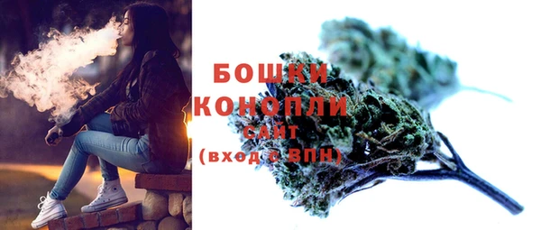 шишки Белокуриха