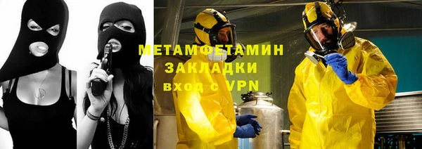 шишки Белокуриха