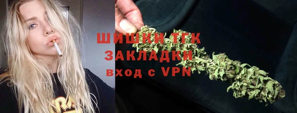 шишки Белокуриха