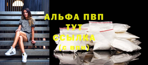 шишки Белокуриха