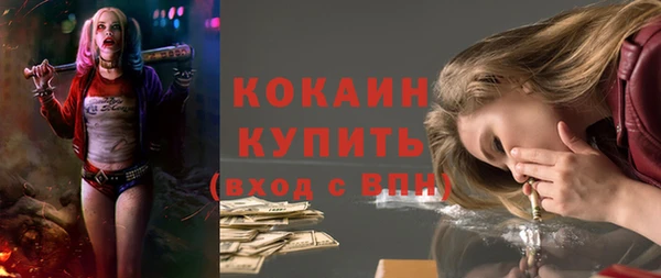 шишки Белокуриха