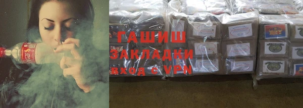 шишки Белокуриха