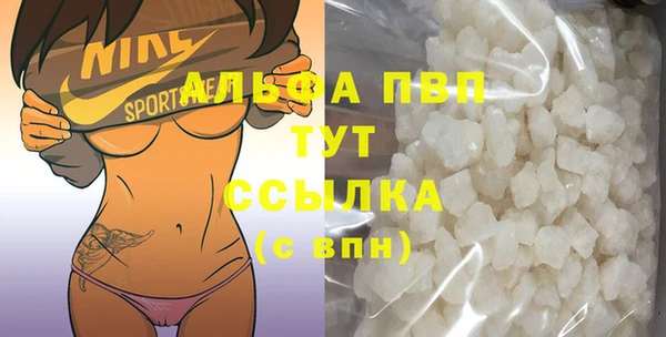 шишки Белокуриха