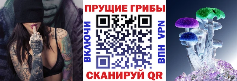 где продают   Плёс  Галлюциногенные грибы мухоморы 